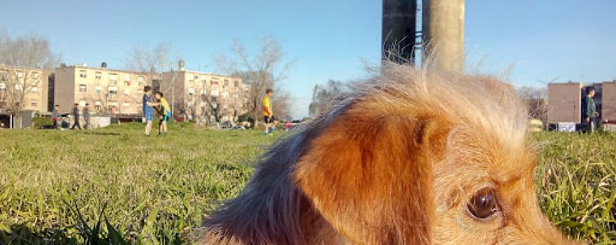 PLAZA PARQUE DON ORIONE