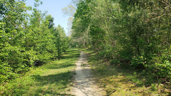 Winslow Township Frank Donio Memorial Park