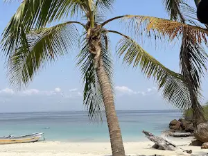 Pedasi Trips | Tour Isla Iguana, fishing, ballenas