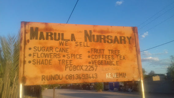 Marula Nursery