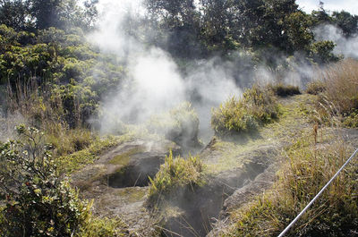 Hale Ma'uma'u Volcano Crater