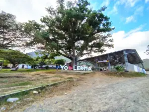 El Ceibo