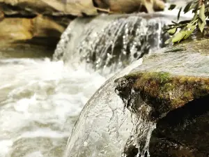 Parewa Daman water fall