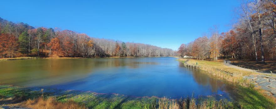 Louise F Cosca Regional Park