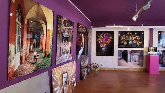 Galerie / Kunstuitleen Bollenstreek