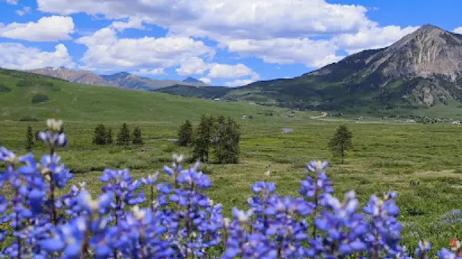 Woods Walk Trail Head