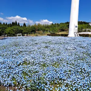 いわき市フラワーセンター