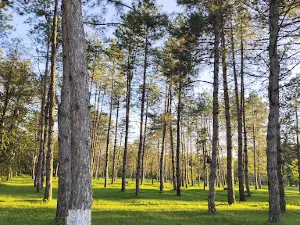 Parcul Central Ungheni