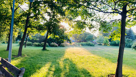 Park Miejski przy MOKu