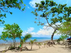 Le Beach Farm Resort