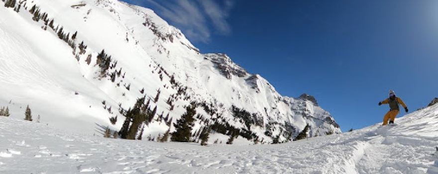 Telluride Helitrax