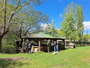 Camping