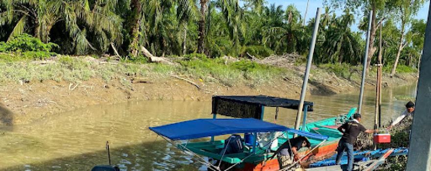 Sampan/Boat Bosskur