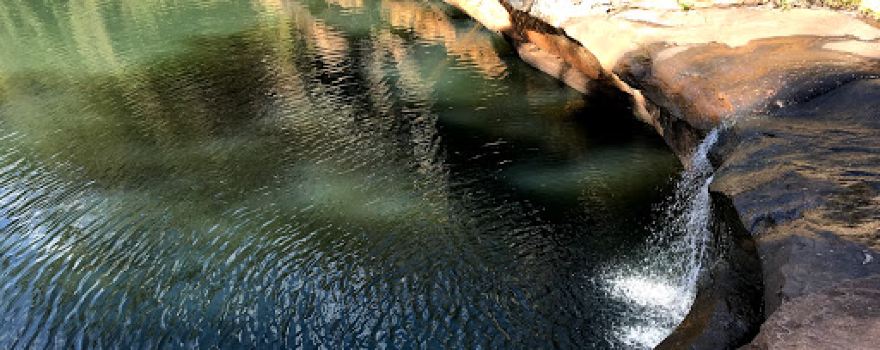 Minerva Pool