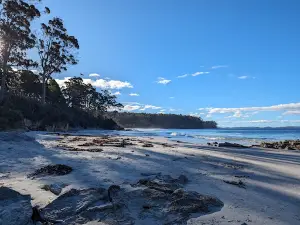Two Tree Point