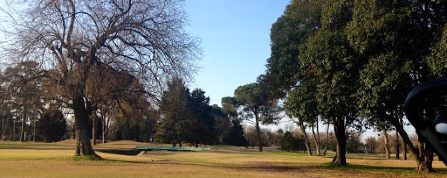 Golf And Players