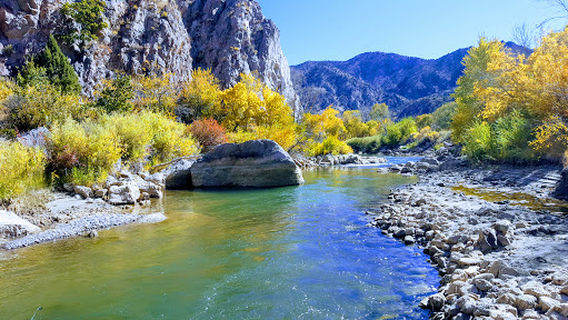 Fishlake National Forest