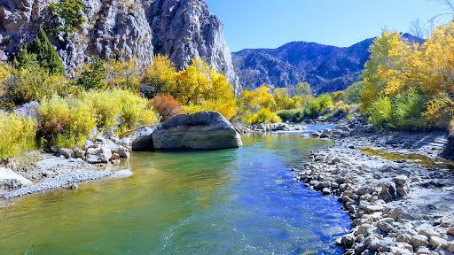 Fishlake National Forest