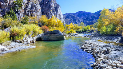Fishlake National Forest