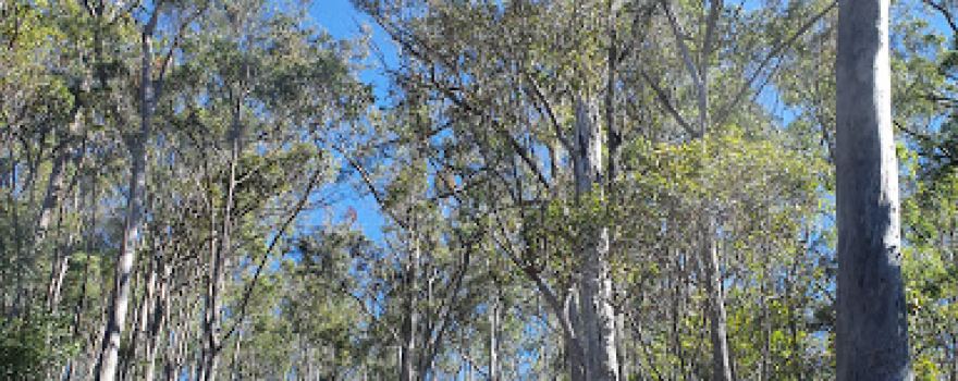 Fairlies Knob National Park