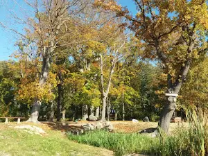 Plaża w Żukowie