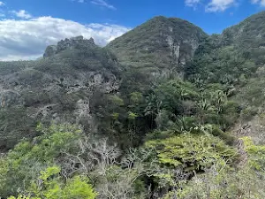 Cachoeira de Nuguaçu