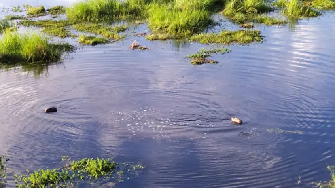 Reserva Municipal La Chinita