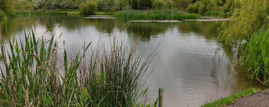 The Park Fishery