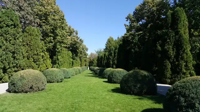 Hotels near Botanic Garden