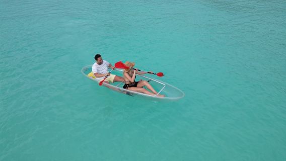 TripTrek Tourism