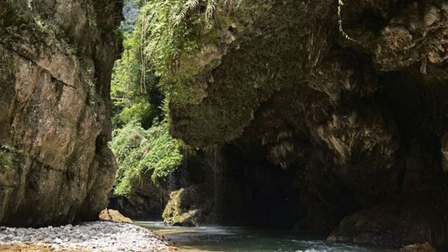 huang ping ye dong he xia dong pu bu piao bo li hua dao ( qi piao dian )