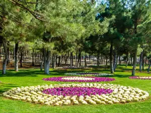 Dülükbaba Picnic Area