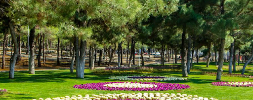 Dülükbaba Picnic Area