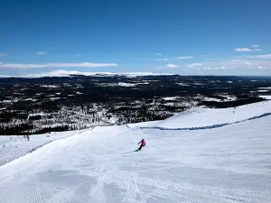 Fjätervålen AB