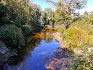 Giardino botanico Maidopis