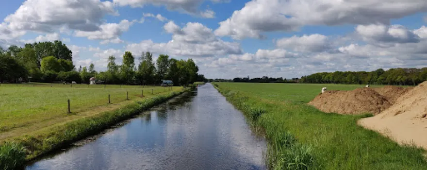 T Loozerveld