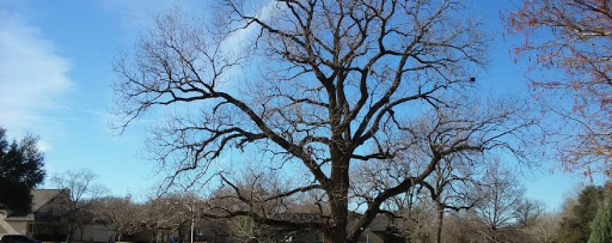 Katherine Fleischer Park
