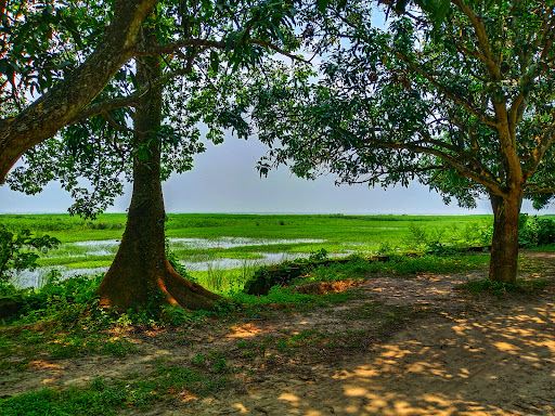 Rajshahi Simla Park