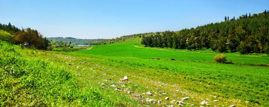 Plain of Manasseh