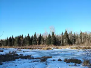 Grand Beach Cross Country Ski Trails