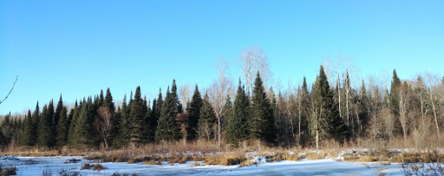 Grand Beach Cross Country Ski Trails