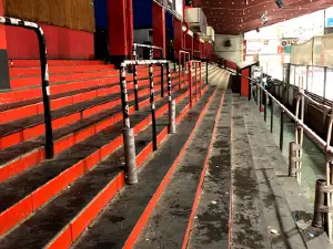 ARS ARENA