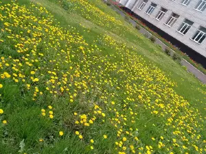 Pam'yatnyk Nevidomomu Soldatu