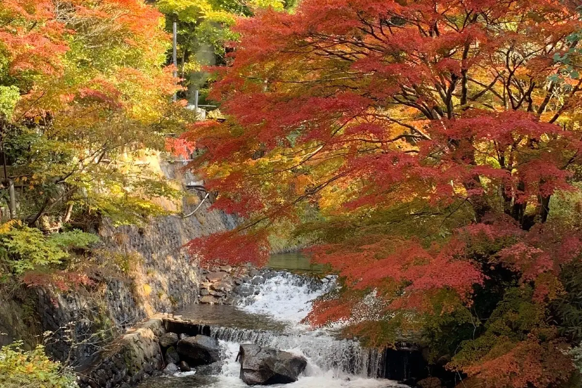 가을 구마모토 날씨