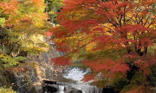 Kurokawa Onsen