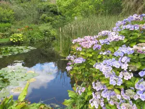 Mount Usher Gardens