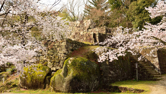 Naegi Castle Ruins