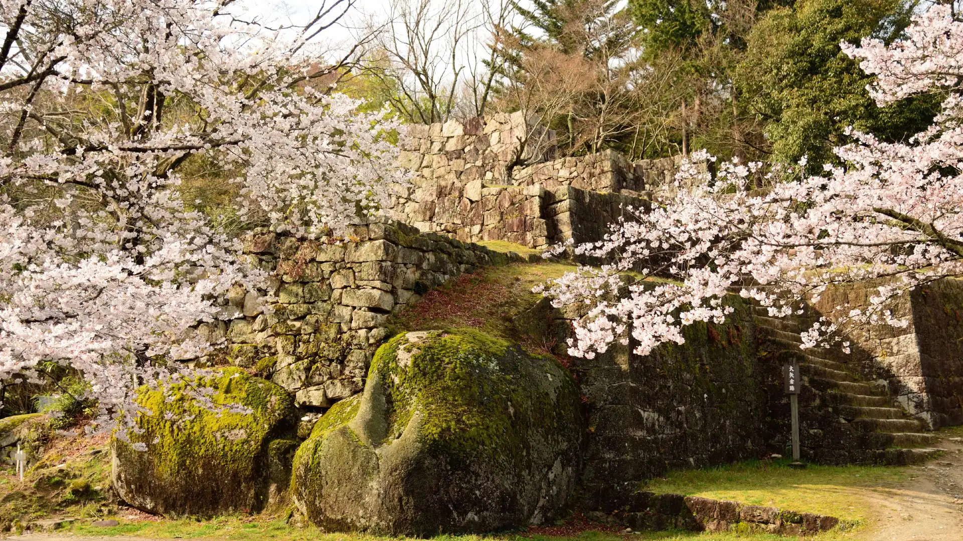 Hotels near Naegi Castle Ruins
