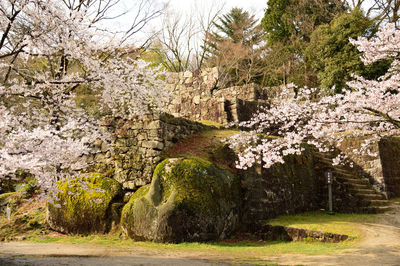 Naegi Castle Ruins