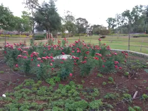 Lake Garden
